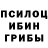 Псилоцибиновые грибы MAGIC MUSHROOMS mark naaris