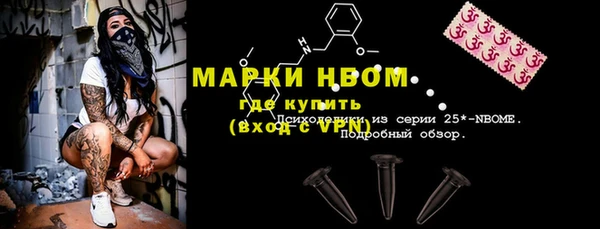PSILOCYBIN Аркадак
