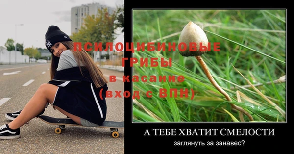 PSILOCYBIN Аркадак