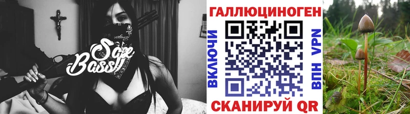 как найти наркотики  Сунжа  Галлюциногенные грибы мицелий 