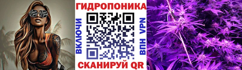 Канабис AK-47 продажа наркотиков Сунжа